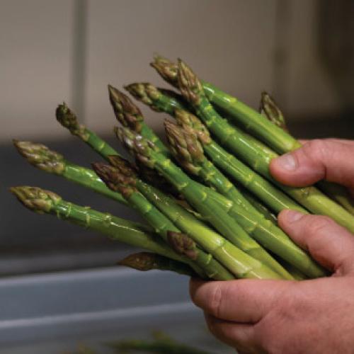 Bistrot VERiTABLE Alain Parodi asperges fraiches